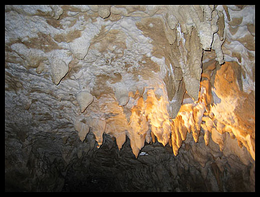 Waitomo Cave